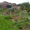 garden of food