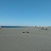 Manawatu Estuary